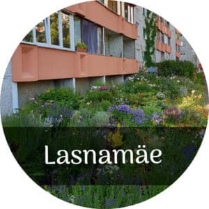 Rattaretk Lasnamäel